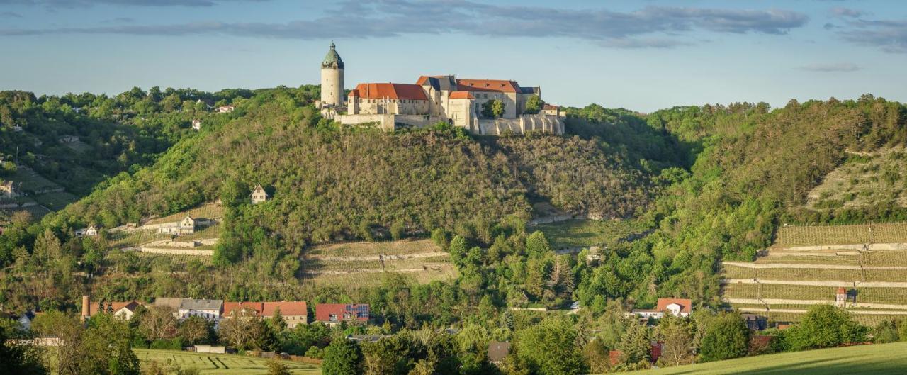 Alt Freyburg