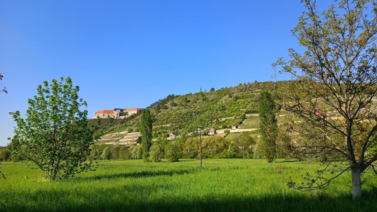 Alt Freyburg